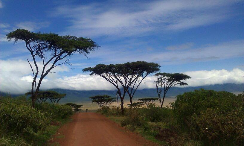 African Sunrise Lodge And Campsite Mto wa Mbu Exteriér fotografie