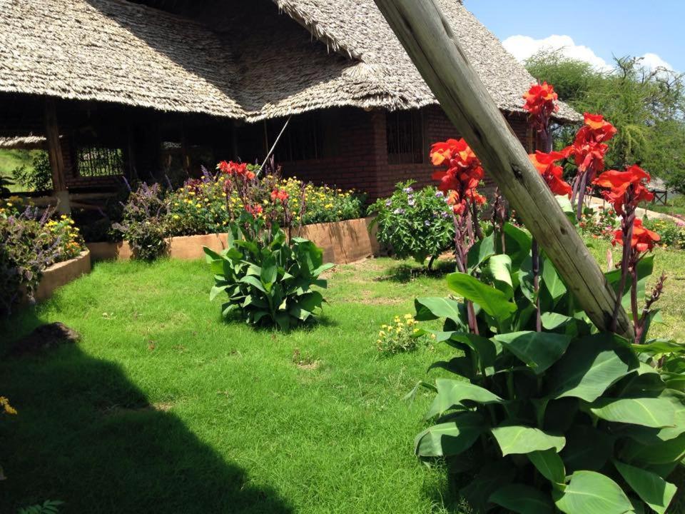 African Sunrise Lodge And Campsite Mto wa Mbu Exteriér fotografie
