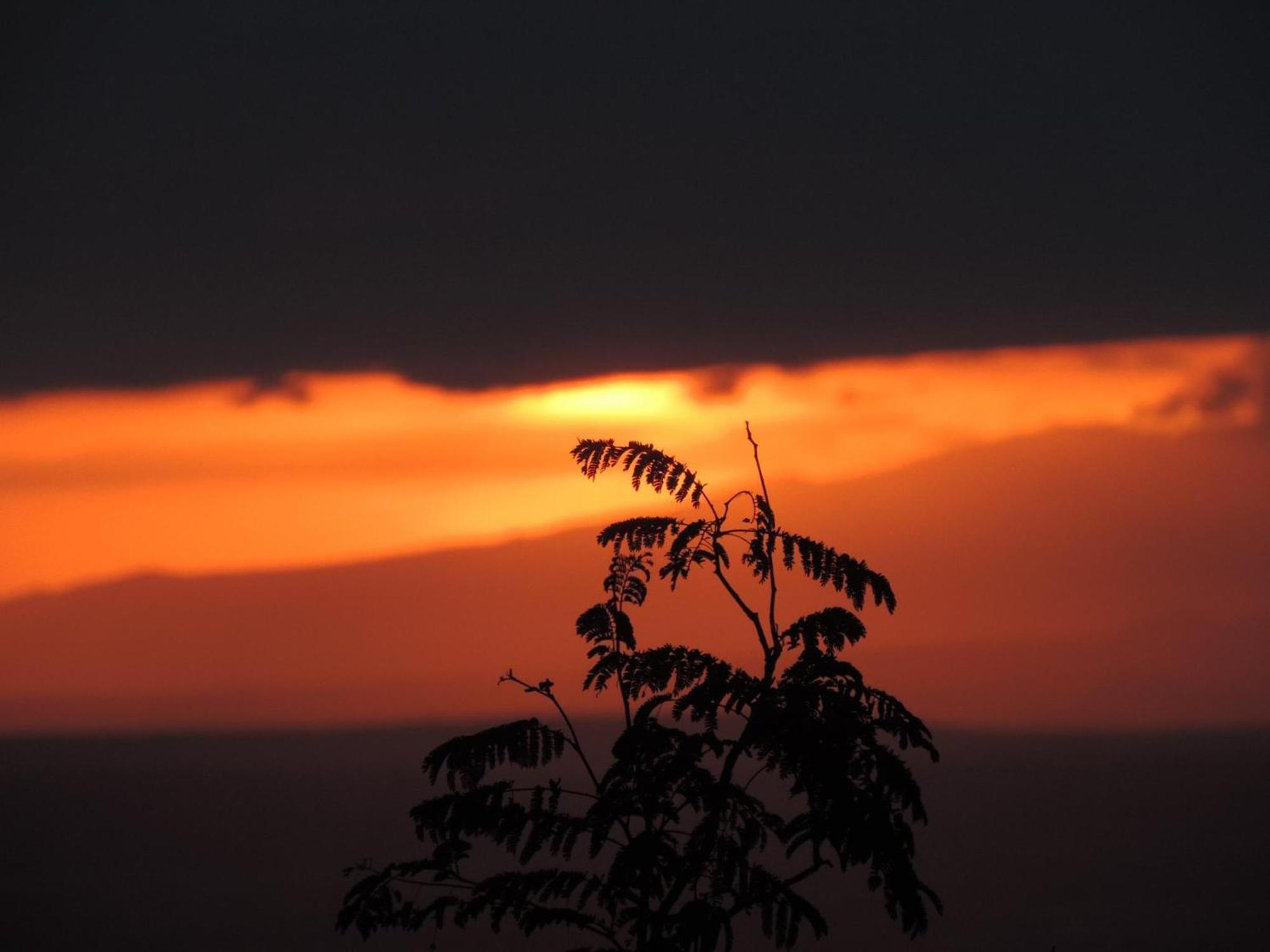 African Sunrise Lodge And Campsite Mto wa Mbu Exteriér fotografie